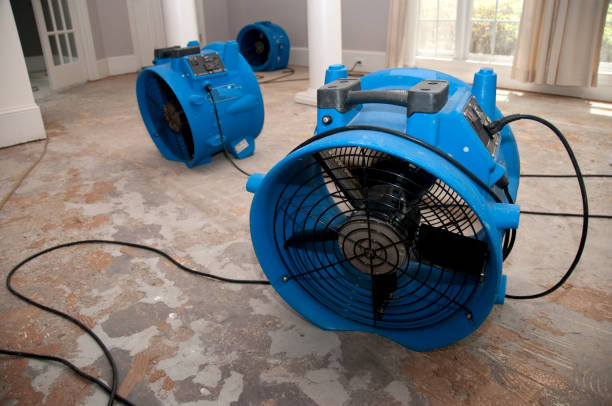 Best Carpet water damage restoration  in Merced, CA