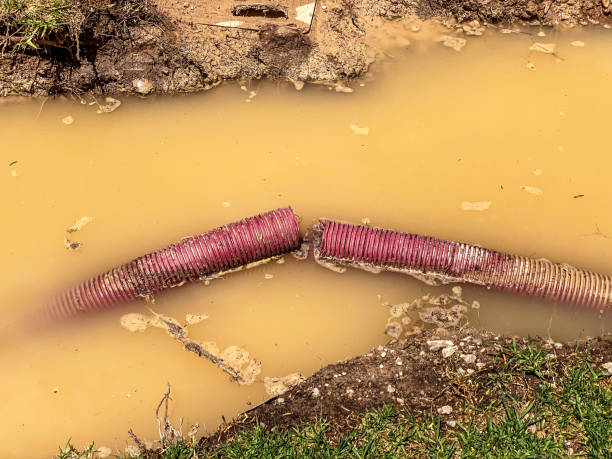 Best Water damage contractors near me  in Merced, CA